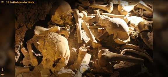 Abbildung Knochen, Beitragsscreen