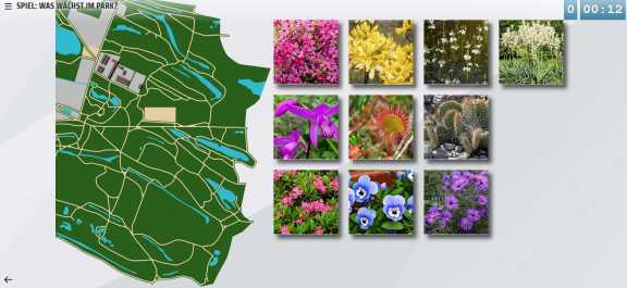 Spiel "Was wächst im Park Kromlau"