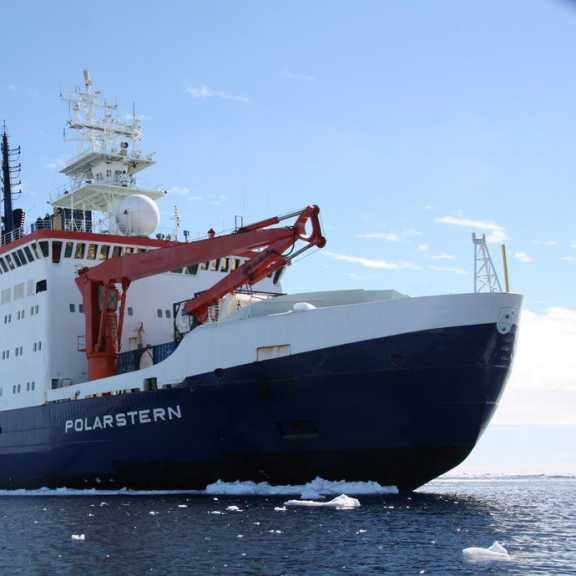 Ein Garnelenschwarm in 600 Meter Wassertiefe im Golf von Cádiz, aufgenommen mit dem Tauchroboter MARUM-CHEROKEE