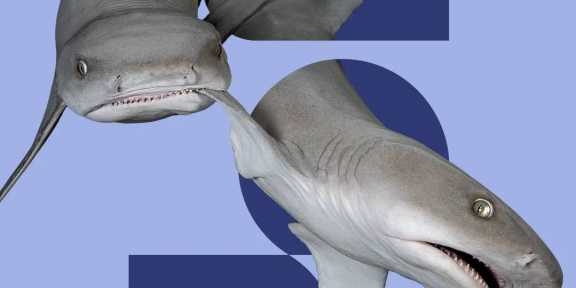 Aussschitt des Startscreens