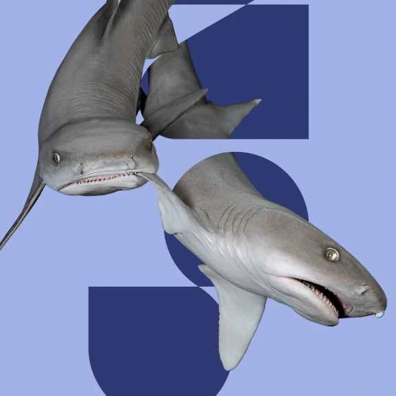 Aussschitt des Startscreens