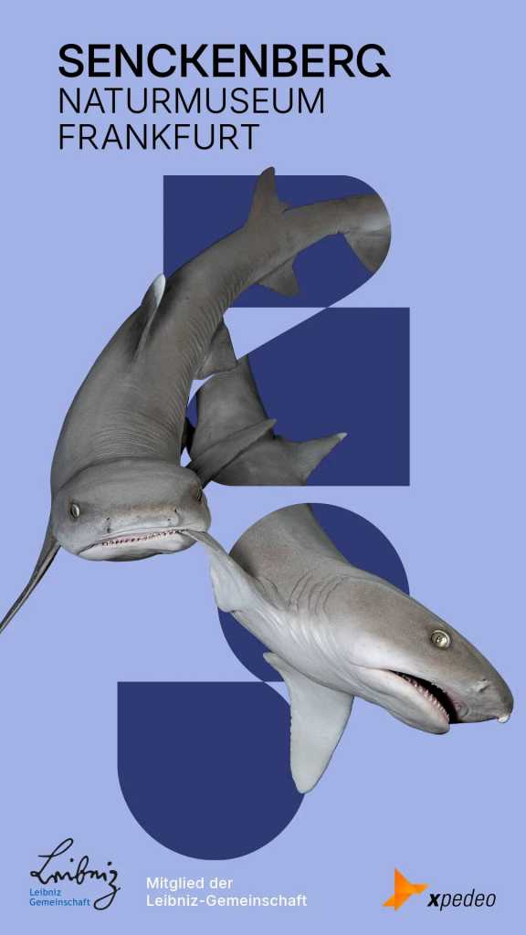 Startseite der App vom Senckenberg Museum