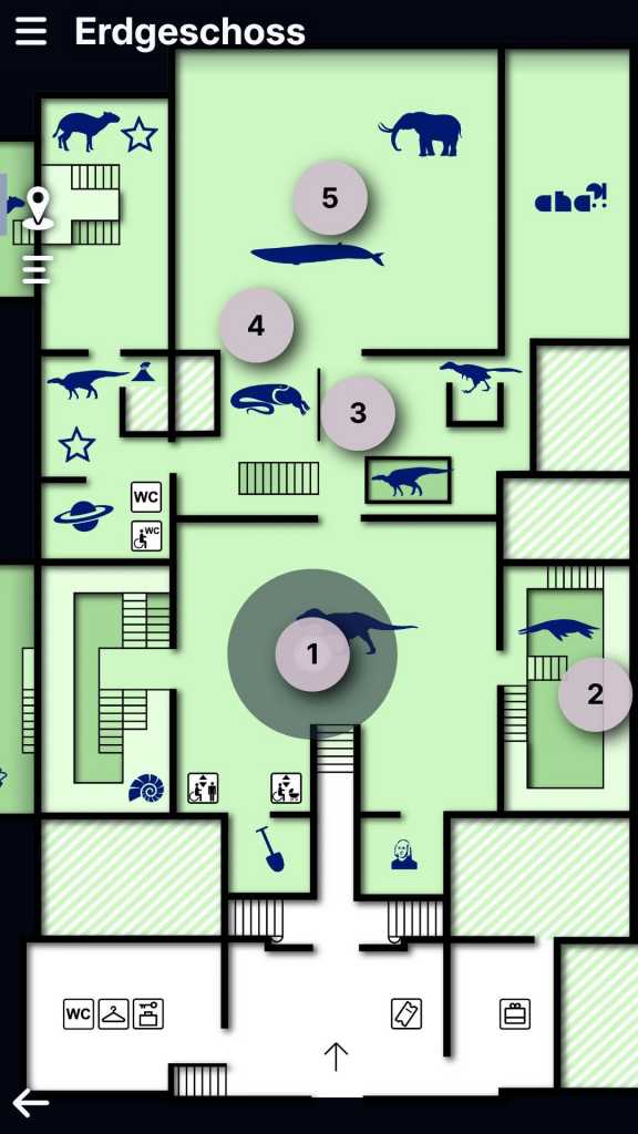 Senckenberg Museum Grundriss Erdgeschoss