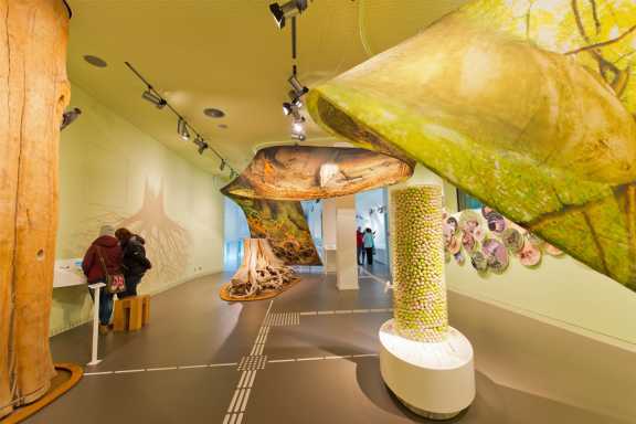 ©vogelsang ip gemeinnützige GmbH