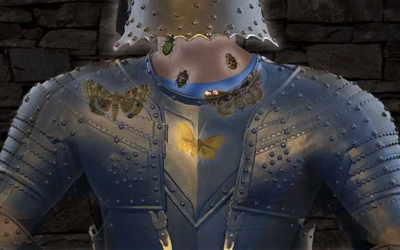 Spielscreen Käfer fangen Spielscreen Käfer fangen